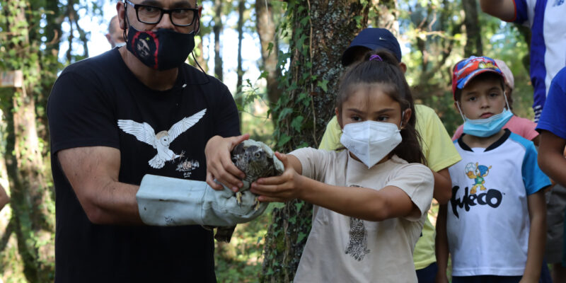 Devolução à Natureza de aves na Quinta da Moend...