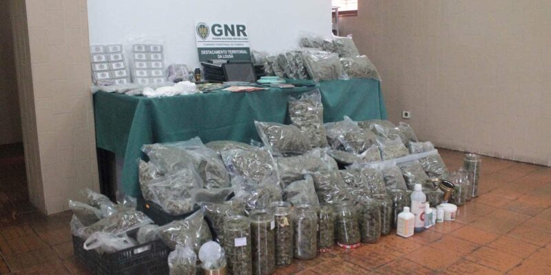 GNR da Lousã desmantela tráfico de droga com seis detenções