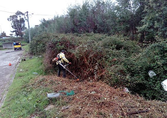 Gabinetes Técnicos Florestais integrados no Sistema de Gestão Integrada de Fogos Rurais