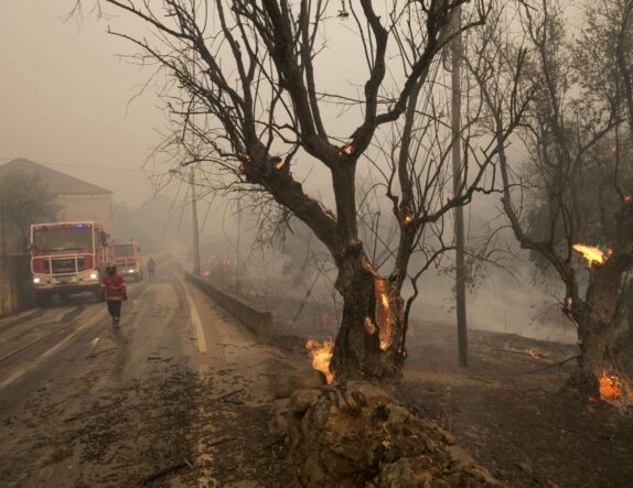 Há cinco anos, incêndio florestal começou junto ao lugar de Prilhão