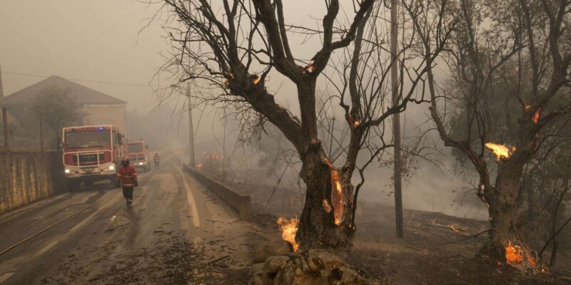 Há cinco anos, incêndio florestal começou junto ao lugar de Prilhão